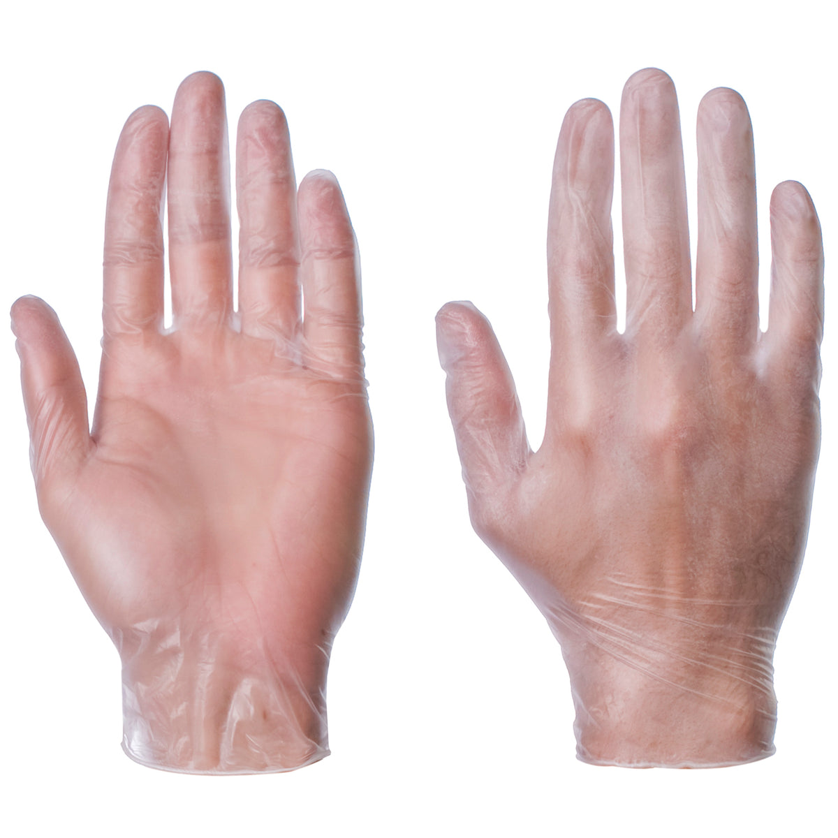 Powderfree Vinyl Gloves D15
