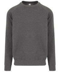 Graduate heavyweight sweatshirt JH130