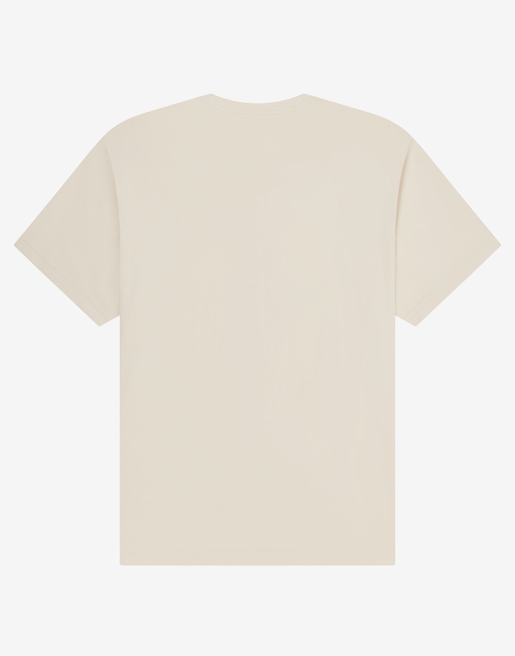 Elevate Organic Heavy T-Shirt